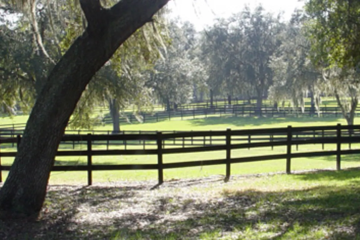 Grand Oaks RV Resort property