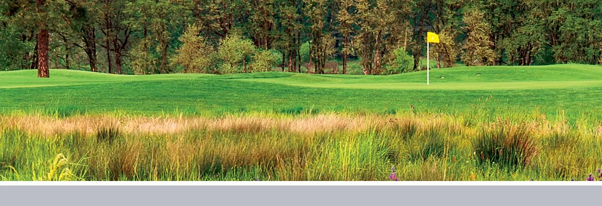 Mallard Creek RV & Golf Resort property